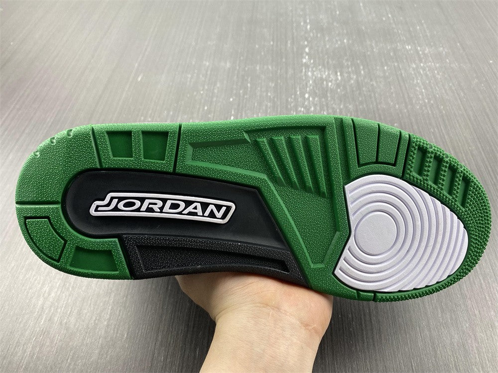 JORDAN - AJ3 ¨Oregon Pitcrew¨ Virillux