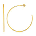 14k Yellow Gold Polished Hoop Earrings Bids.com